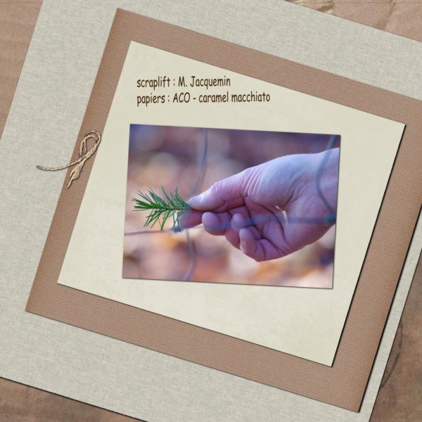 début d'une amitié ?