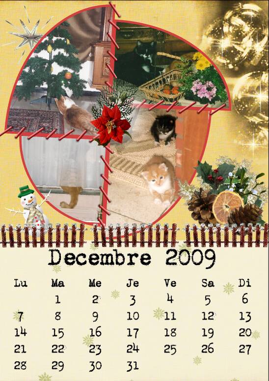 décembre 2009