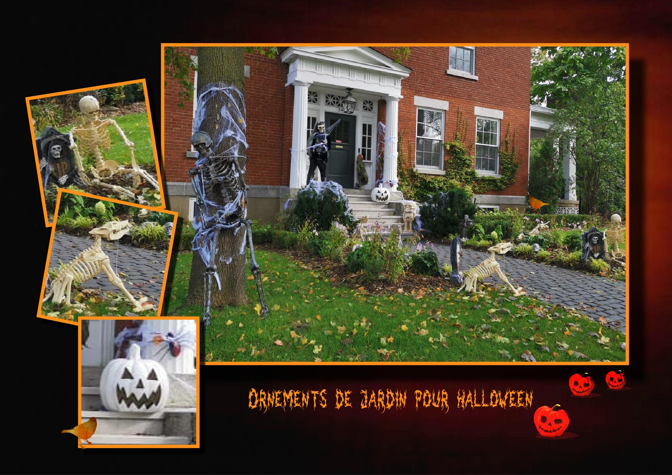 Déco jardin et perron.jpg