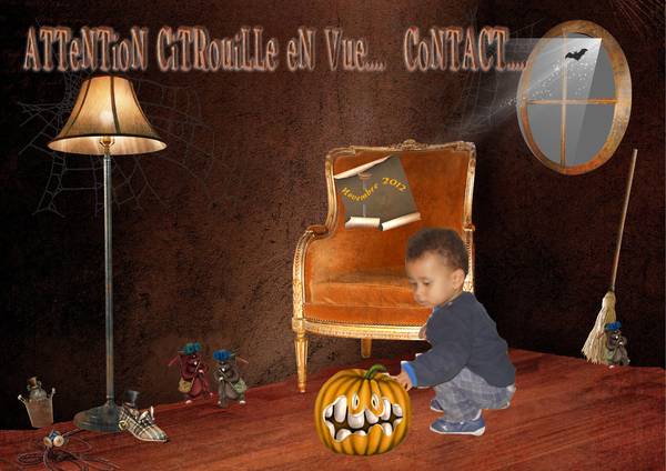 découverte de la citrouille