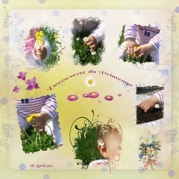 Découverte des fleurs