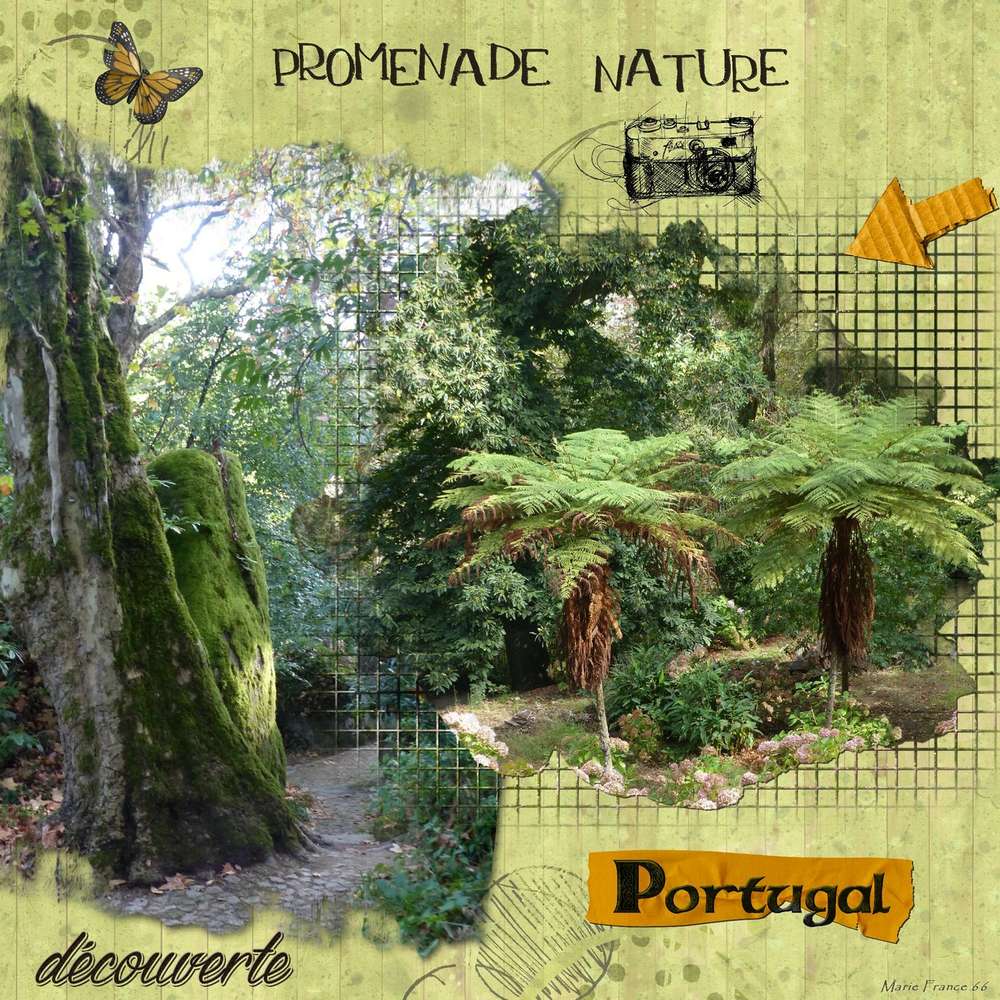 DECOUVERTE NATURE PORTUGAL