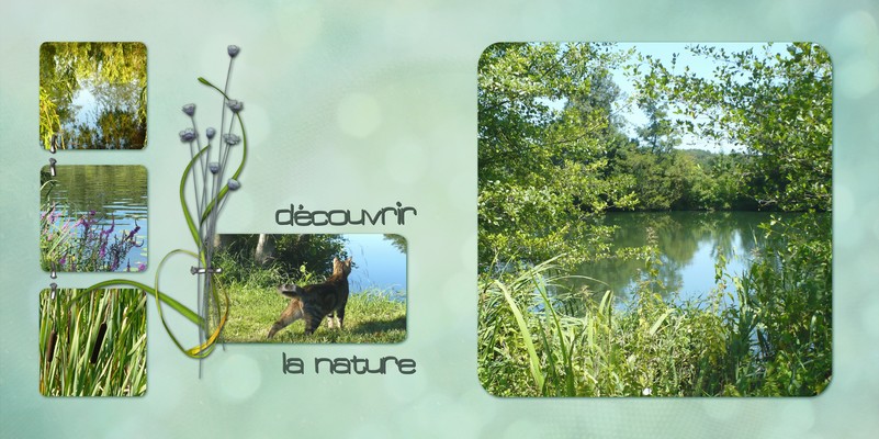 Découvrir la nature