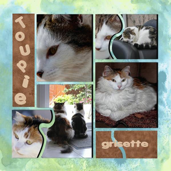 def-Karine-templateanimal