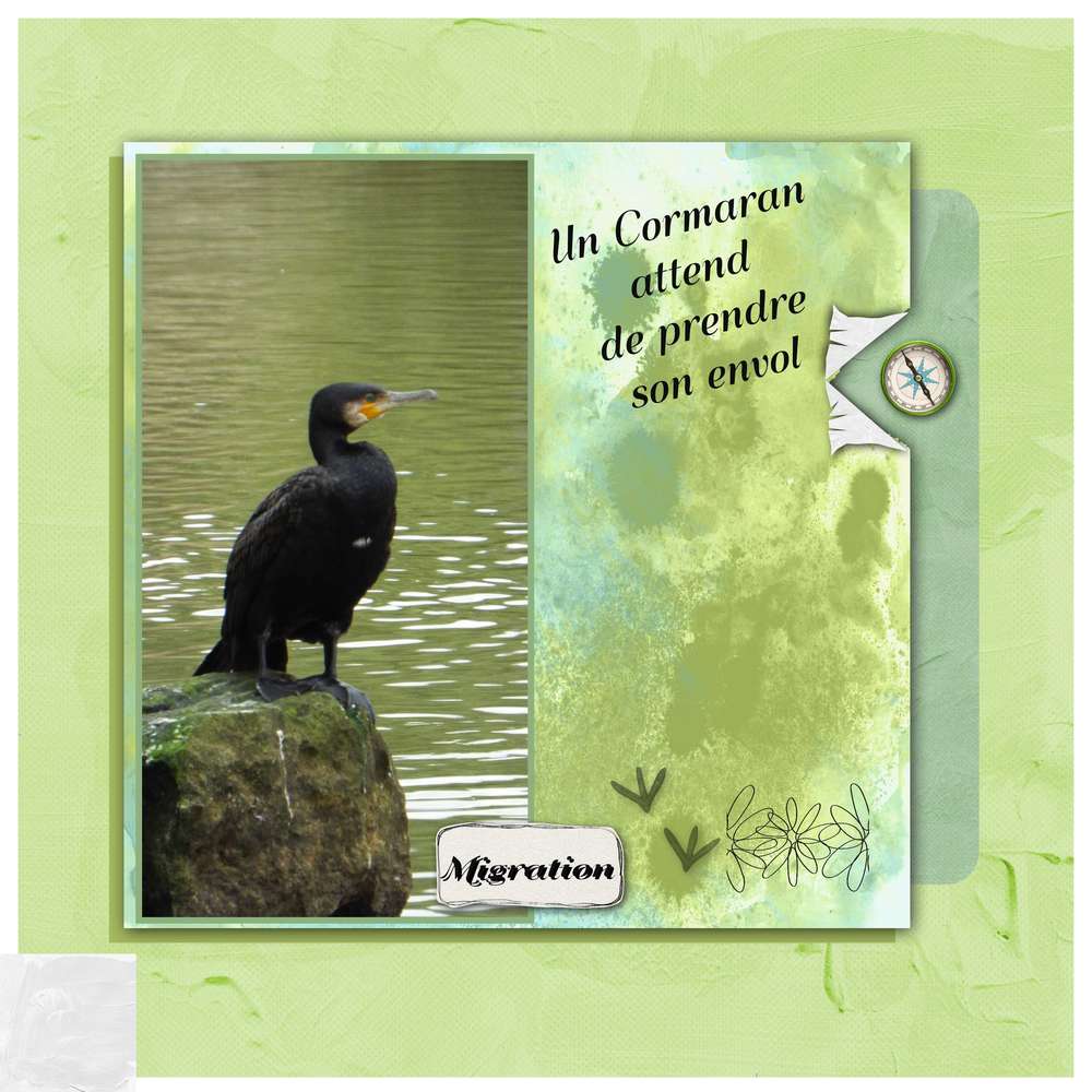 Défi 07 C&amp;S de Martine