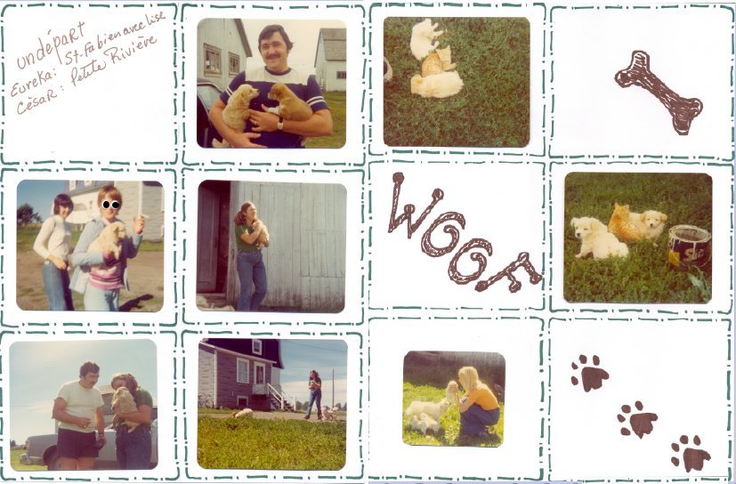 Défi 100 pages en 10 jours