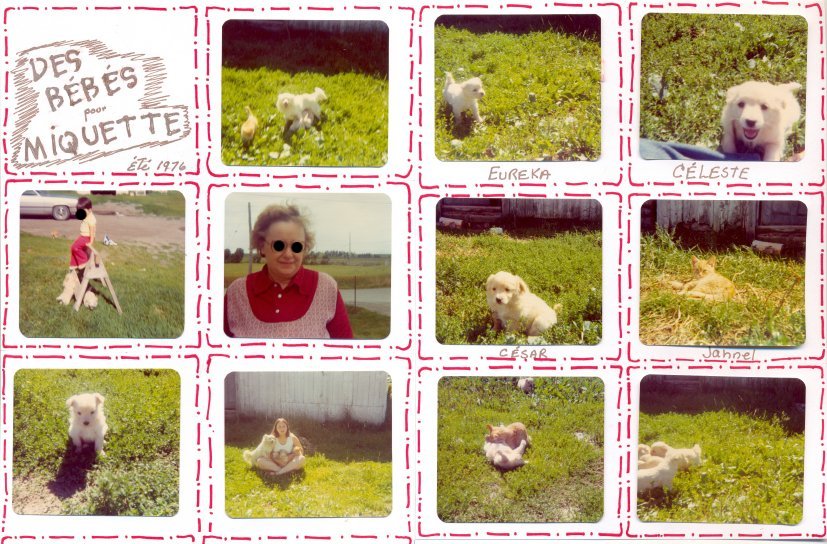 Défi 100 pages en 10 jours