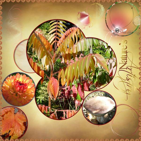 Défi 12 - Pique - cercles