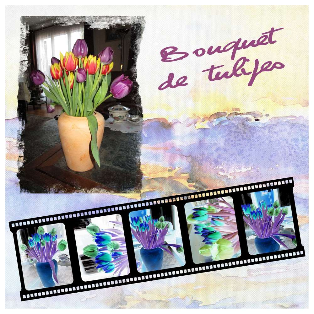 Défi 15 pellicule de Pique