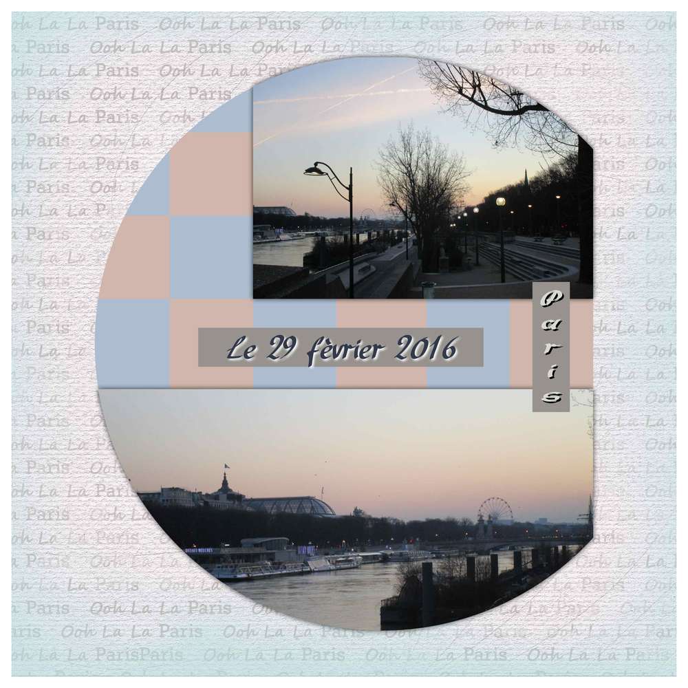 Défi 16 le 29 février de Pique