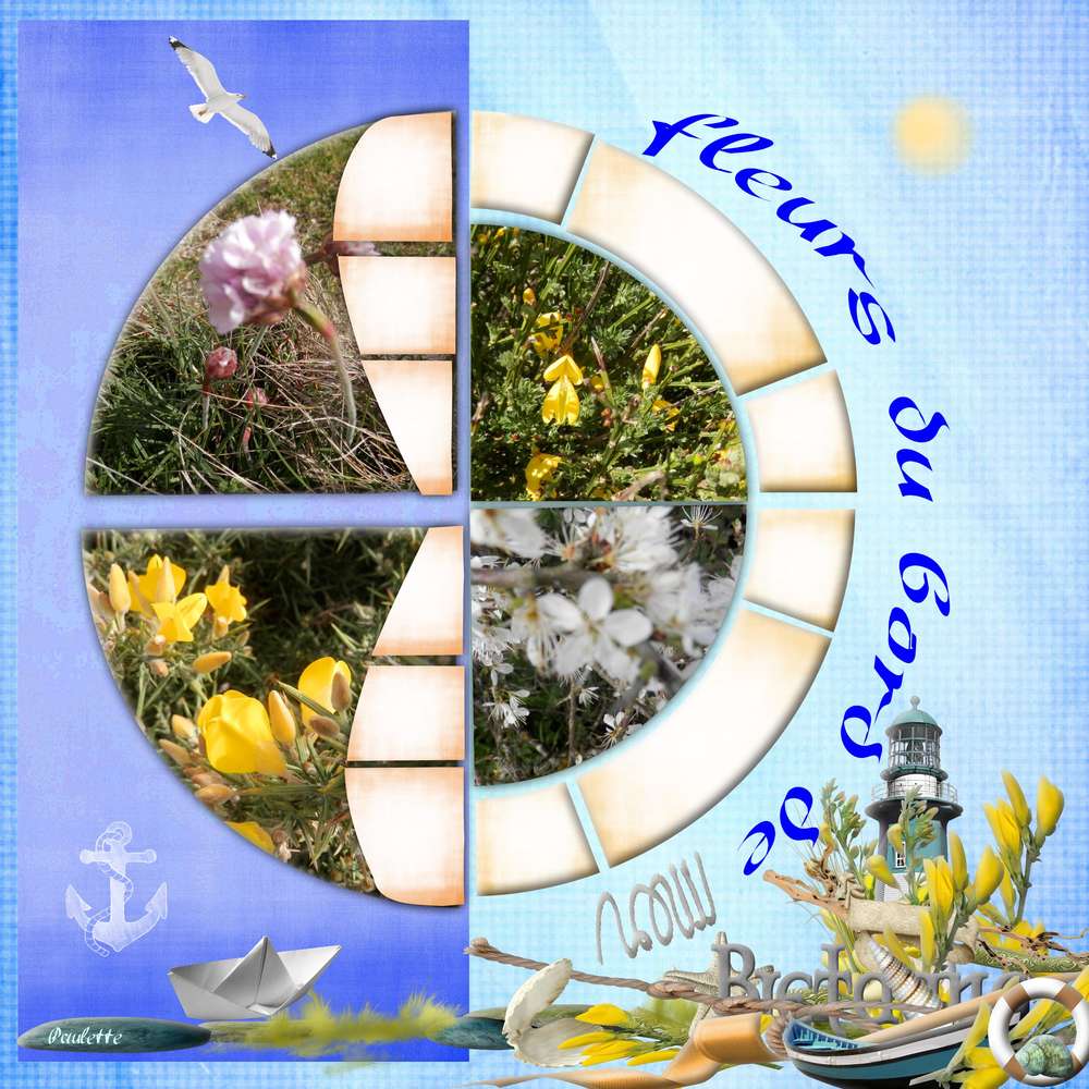 defi 2 aliselle mars 2017