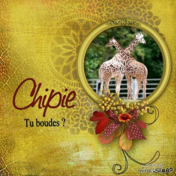 Défi  2 Chipies Mary Malou