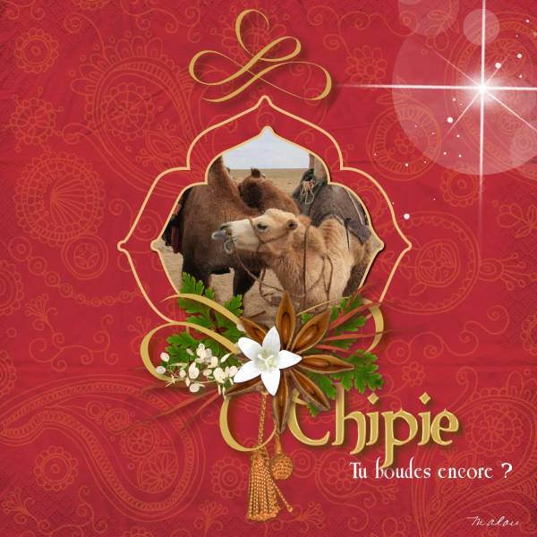 Défi 2 Chipies Mary Malou