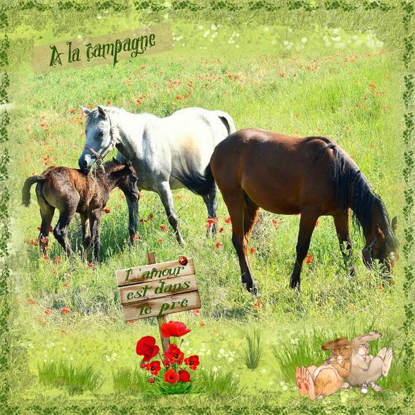 DEFI 2 LAURETTE  DE LA S. 22.