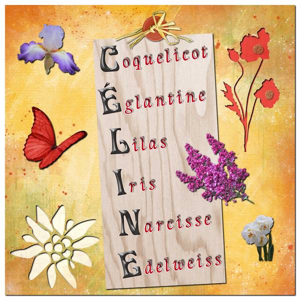 Défi Acrostiche fleurs de Gilberte