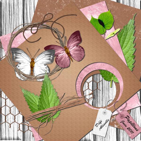 Défi Aliselle dessus dessous 2