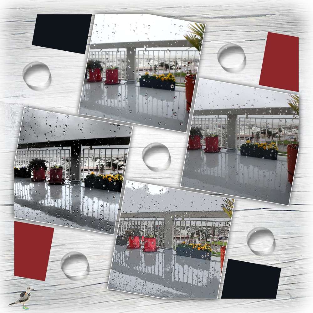 défi Aliselle-eau 2