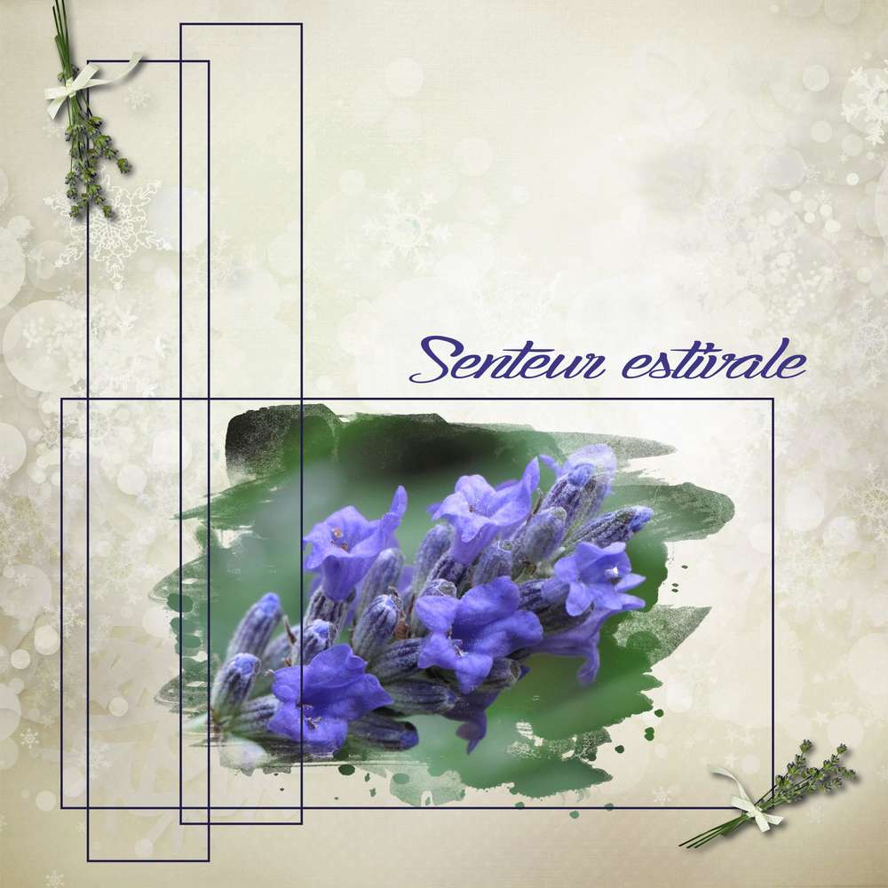 Défi Aliselle février  lavande