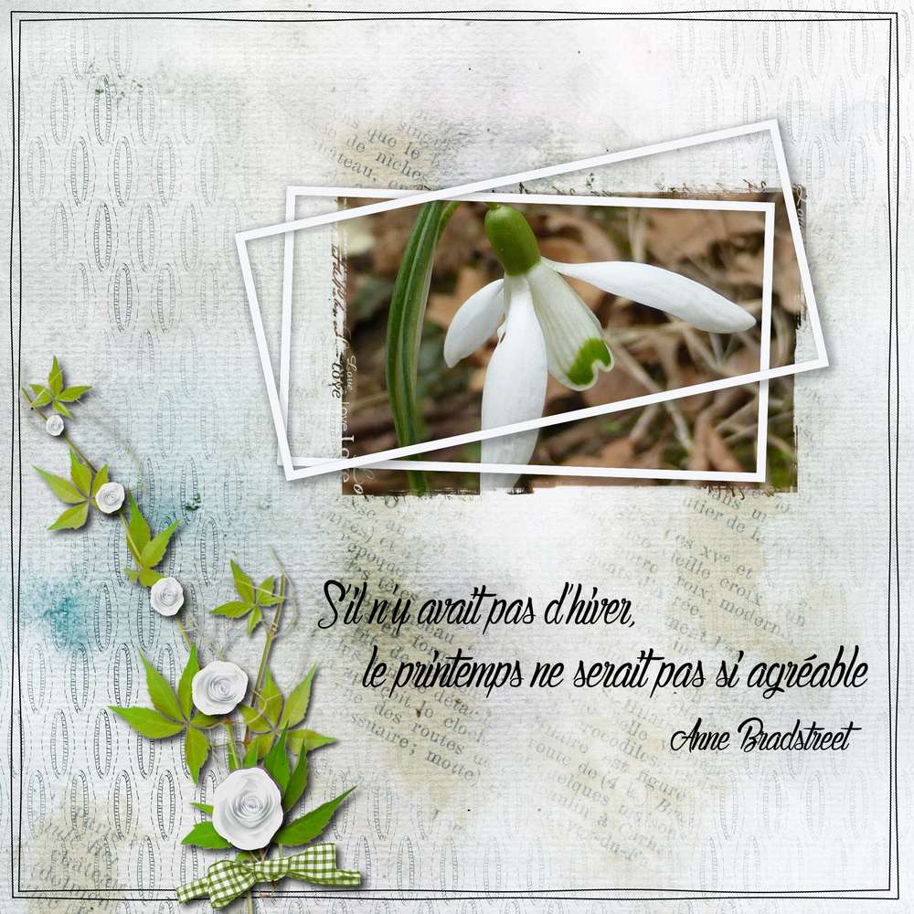 Défi Aliselle Février Perce neige