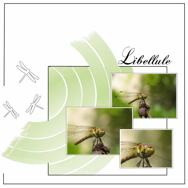 Défi Aliselle Fond blanc et 1 couleur 2