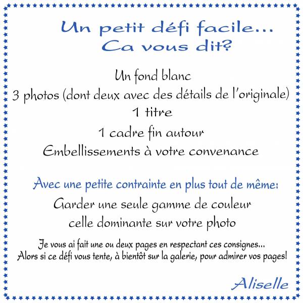 Défi Aliselle Fond blanc et 1 couleur