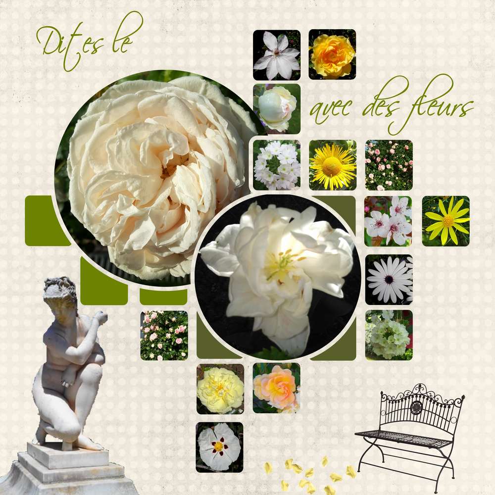 Défi Aliselle juin 2017