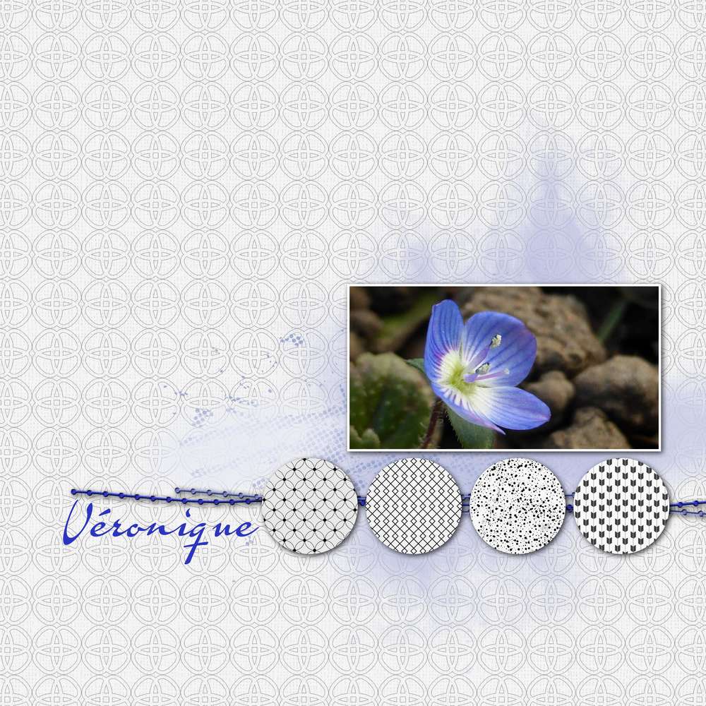 Défi Aliselle Mai  Véronique