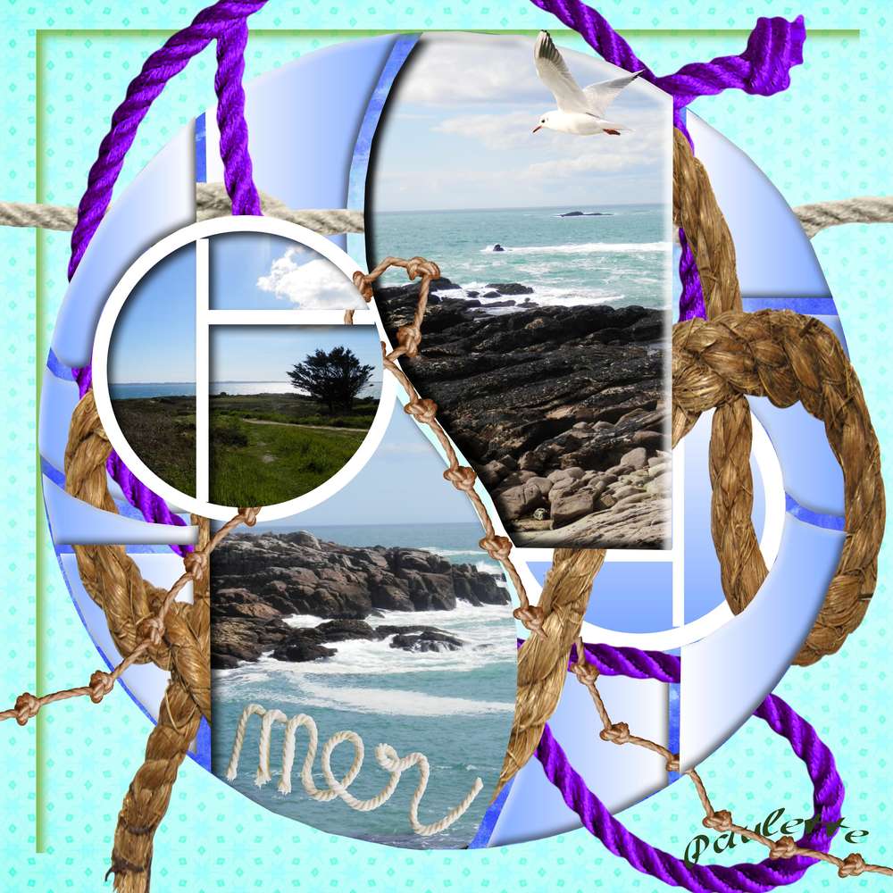 defi aliselle mars 2017