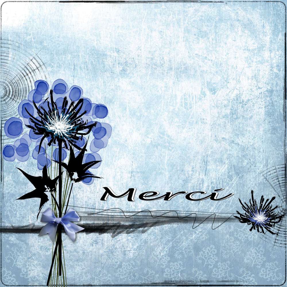 Défi Aliselle Noir Blanc Bleu Merci