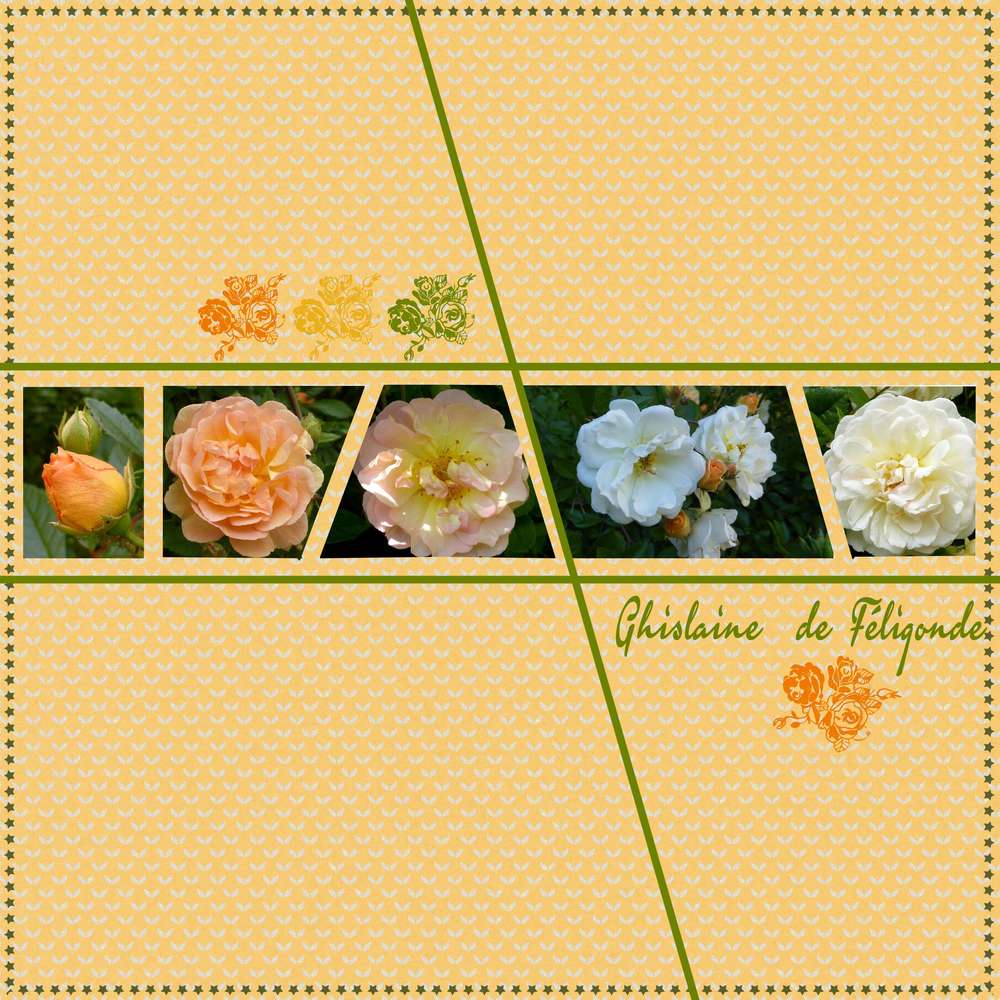 Défi Aliselle palette Ghislaine de Féligonde