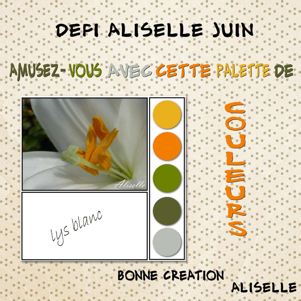 Défi Aliselle palette Juin 2017