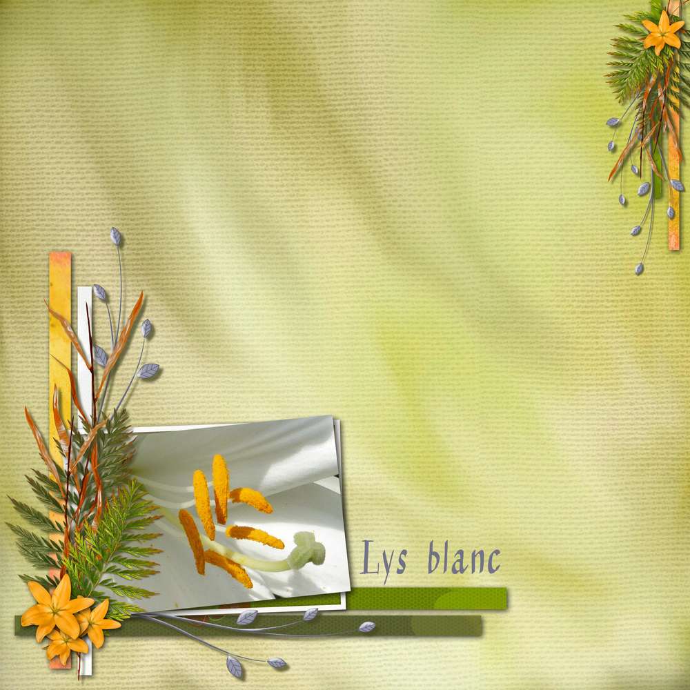 Défi Aliselle palette Lys