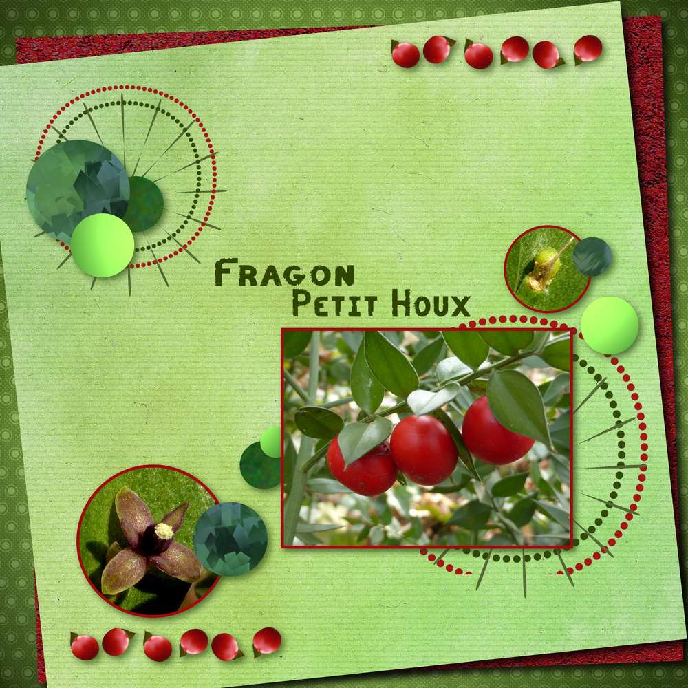 Defi Aliselle Template mars fragon