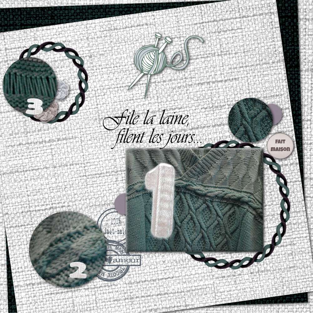 défi Alyselle - mars 2017