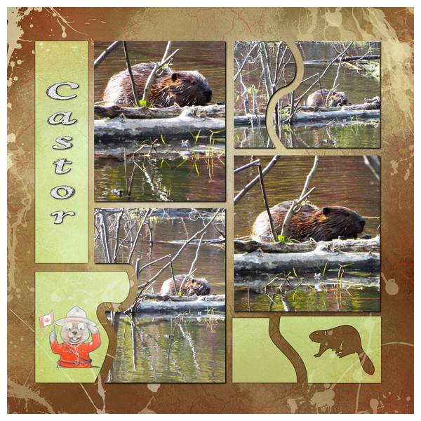 Défi Animal de Karine