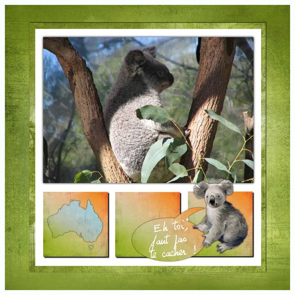 Défi animaux de Kaly