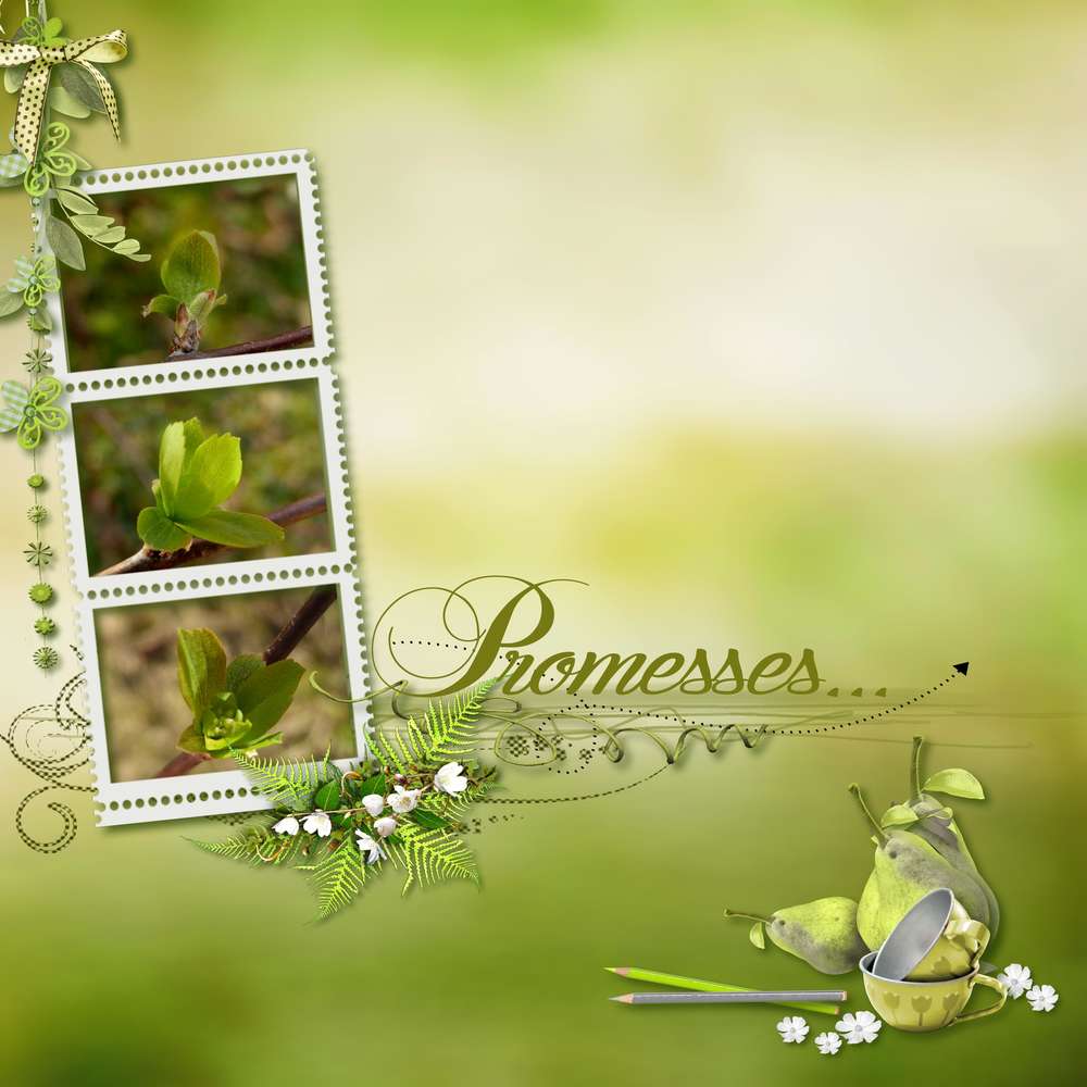 Défi Arabesques Aliselle  bourgeons