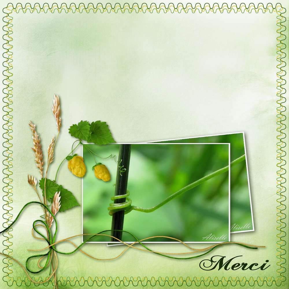 Défi Arabesques Aliselle Merci