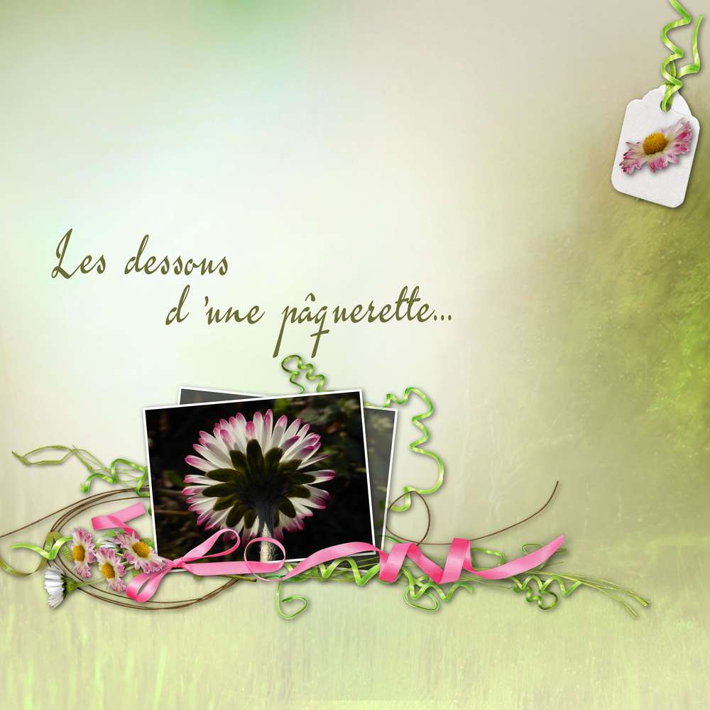 Défi Arabesques Aliselle  Pâquerettes