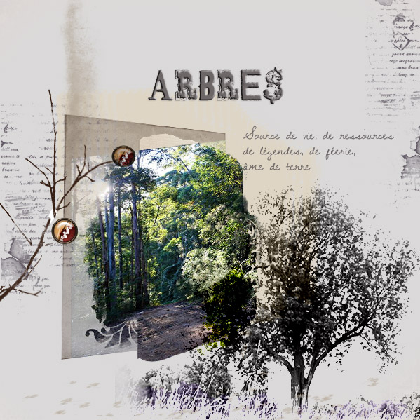 Défi Arbres