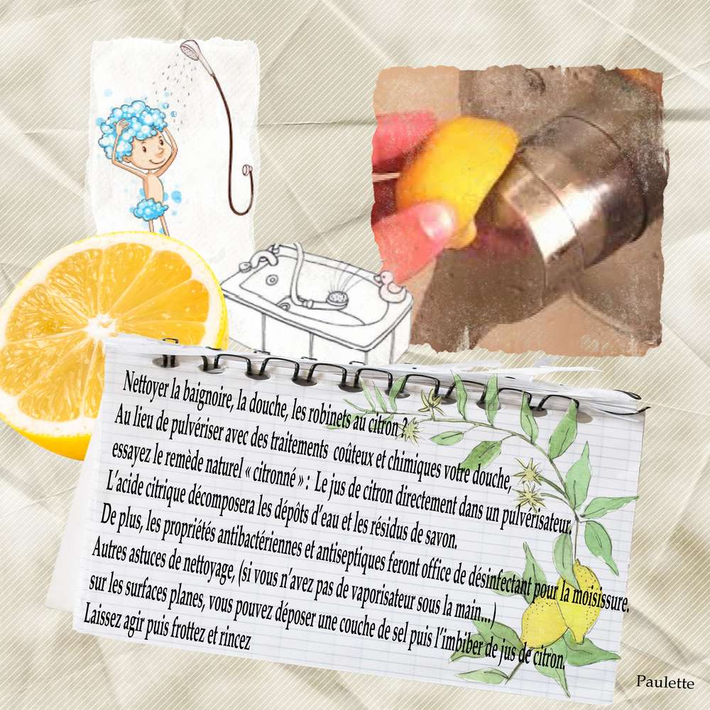 defi astuce agrume 2016