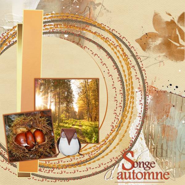 Defi-Automnal - CDIP