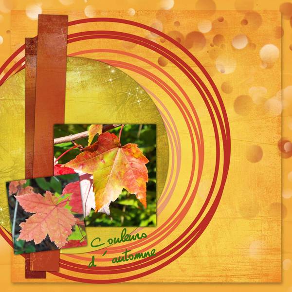 Défi automnal du CDIP