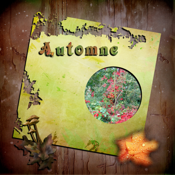 défi automne Mamierose