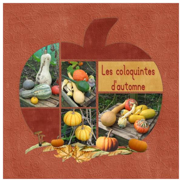 Défi automne Martinas