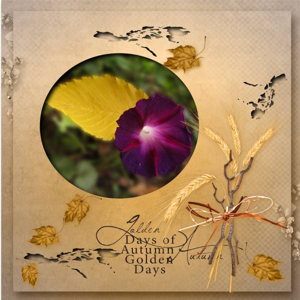 Défi automne Moyson