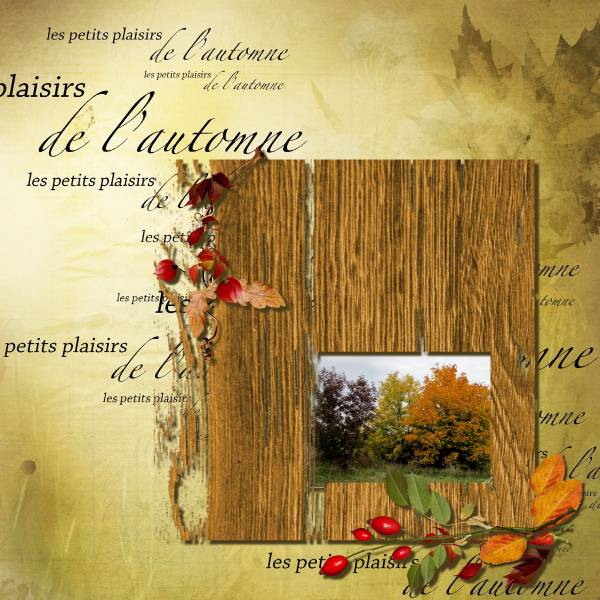 Défi automne Moyson