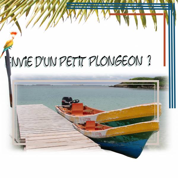 défi blanc Mamyrose