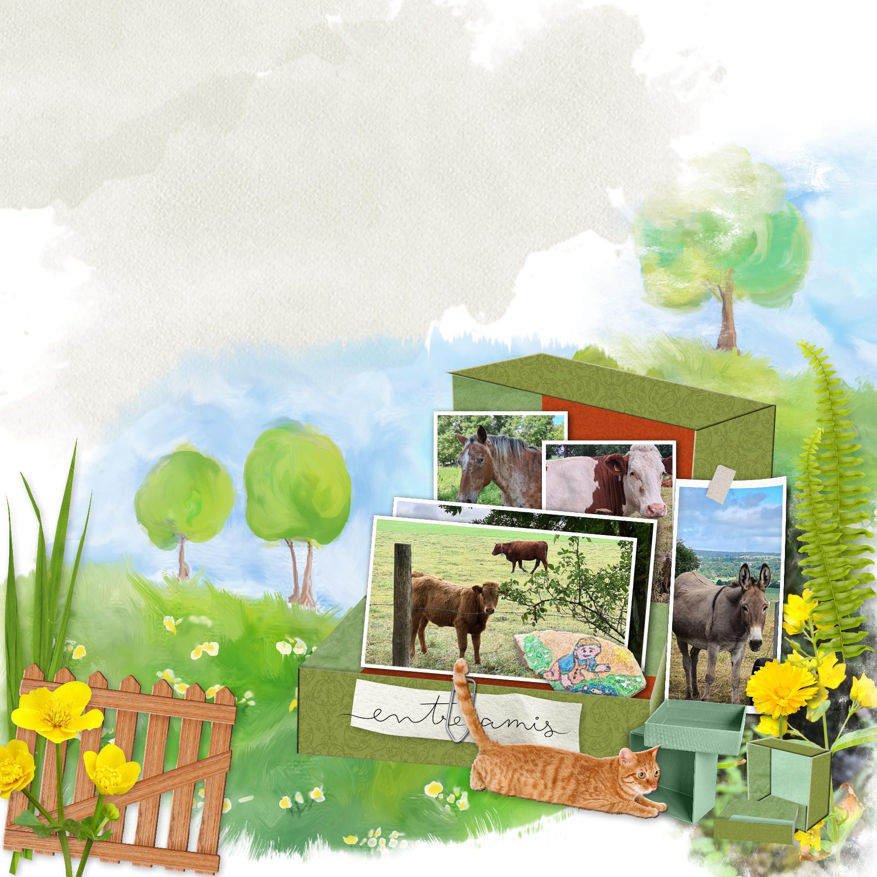 defi boite2 mai 24.jpg