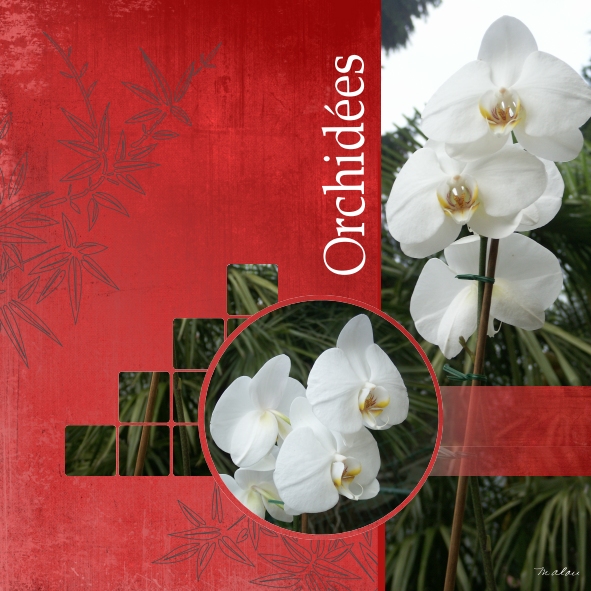 Défi bouquet de Max